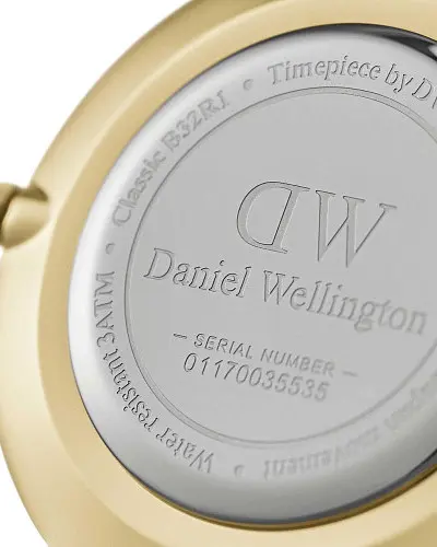 Daniel Wellington Petite Evergold DW00100348