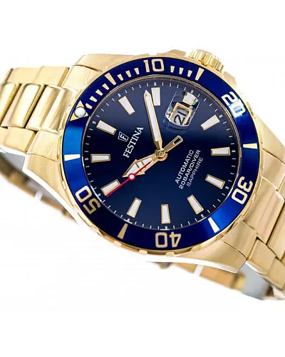 Festina Automatic F20533/1